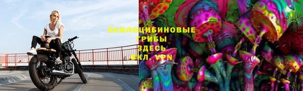 ПСИЛОЦИБИНОВЫЕ ГРИБЫ Алексин