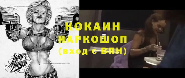 сатива Арсеньев