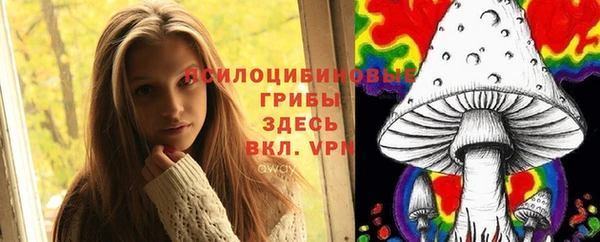 сатива Арсеньев