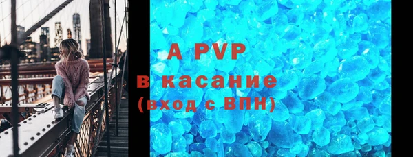 сатива Арсеньев