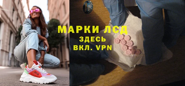 сатива Арсеньев