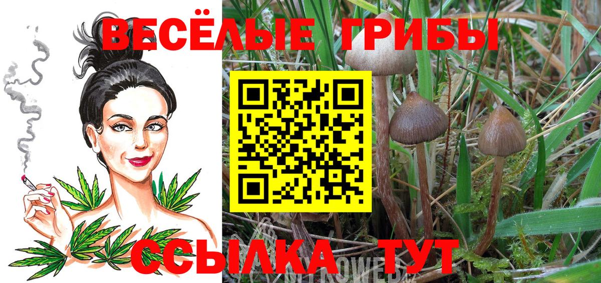 Галлюциногенные грибы прущие грибы  Вход с VPN  Псилоцибиновые грибы мицелий  Лесосибирск 